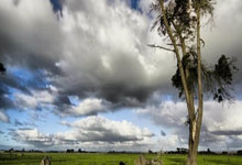 哪里能找到中国女足比赛的完整录像？